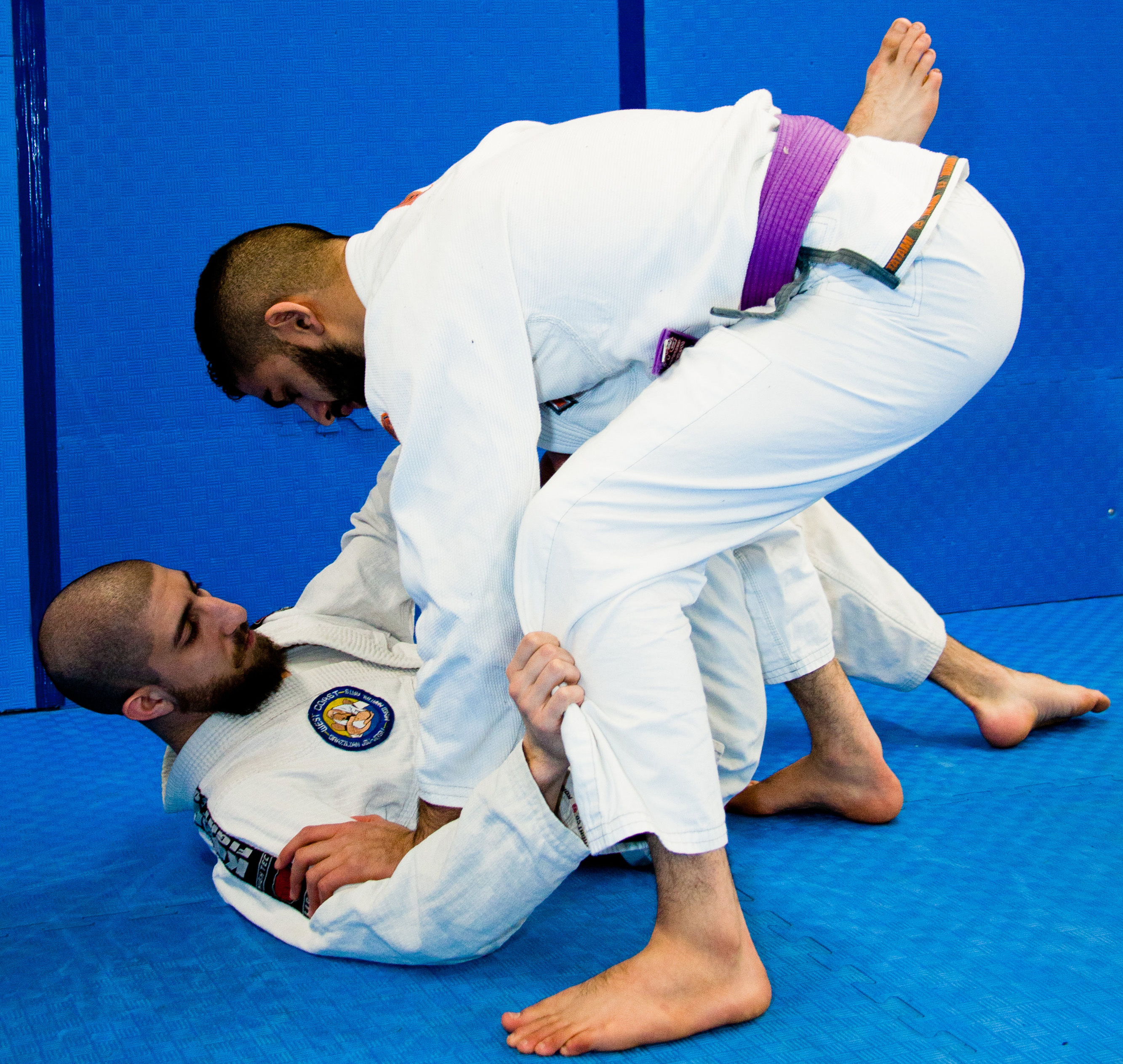 Brazilian Jiu Jitsu | The Martial Arts Academy